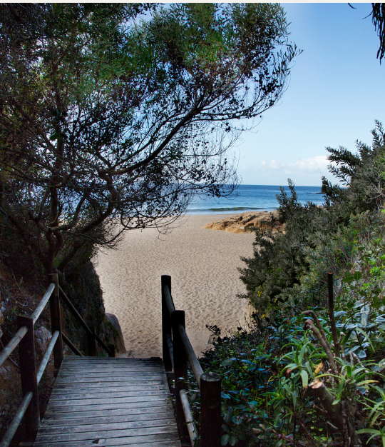 Wooden staircase leading down to the beach